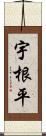 宇根平 Scroll