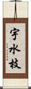 宇水枝 Scroll