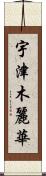 宇津木麗華 Scroll