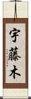 宇藤木 Scroll