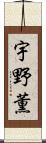 宇野薫 Scroll