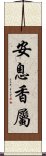 安息香屬 Scroll