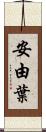 安由葉 Scroll