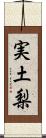 実土梨 Scroll