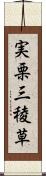 実栗 Scroll