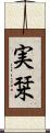 実栞 Scroll