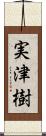 実津樹 Scroll