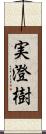 実澄樹 Scroll