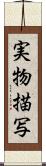 実物描写 Scroll