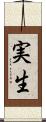 実生 Scroll