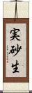 実砂生 Scroll