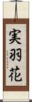 実羽花 Scroll