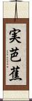 実芭蕉 Scroll