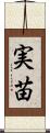 実苗 Scroll