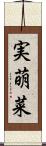 実萌菜 Scroll