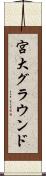 宮大グラウンド Scroll