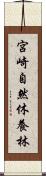 宮崎自然休養林 Scroll