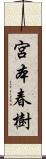 宮本春樹 Scroll