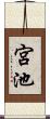 宮池 Scroll