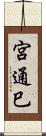 宮通巳 Scroll