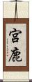 宮鹿 Scroll