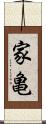 家亀 Scroll
