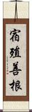 宿殖善根 Scroll