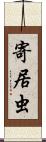 寄居虫 Scroll