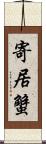 寄居蟹 Scroll