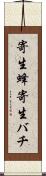 寄生蜂 Scroll