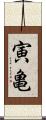 寅亀 Scroll