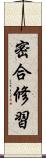 密合修習 Scroll