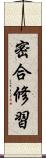 密合修習 Scroll