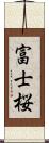 富士桜 Scroll