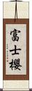富士櫻 Scroll