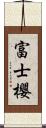 富士櫻 Scroll