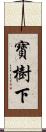 寶樹下 Scroll