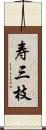 寿三枝 Scroll