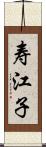 寿江子 Scroll