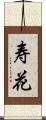 寿花 Scroll