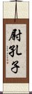 尉孔子 Scroll