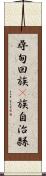 尋甸回族彞族自治縣 Scroll