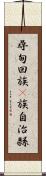 尋甸回族彞族自治縣 Scroll