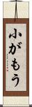 小がもう Scroll