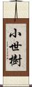 小世樹 Scroll