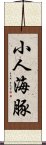 小人海豚 Scroll