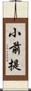 小前提 Scroll
