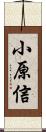 小原信 Scroll