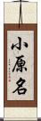 小原名 Scroll