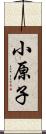 小原子 Scroll